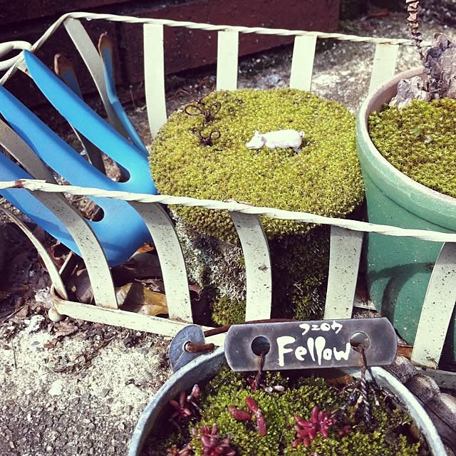 Fellowさんの実例写真