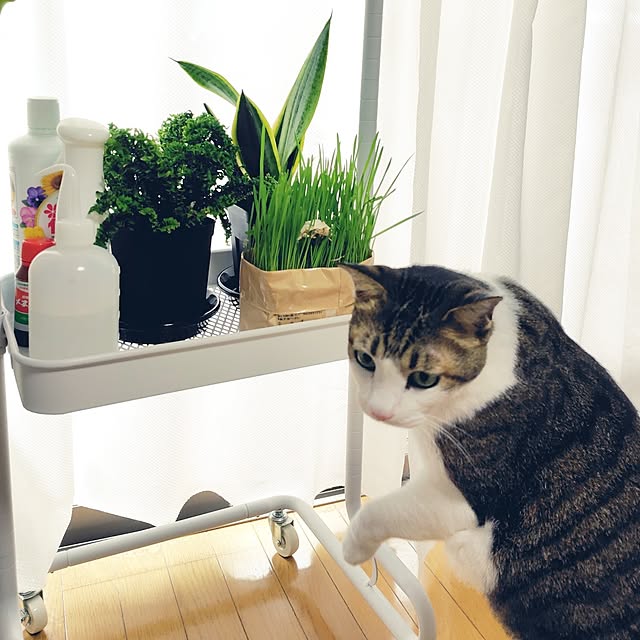 nachiさんの部屋