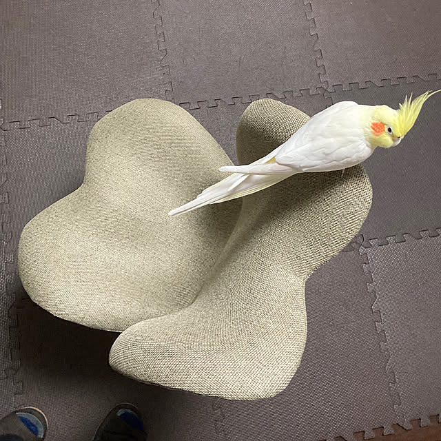 toratanさんの実例写真