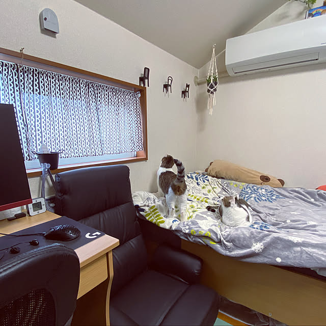 Lufuさんの実例写真