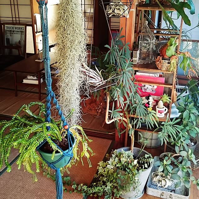 takenさんの実例写真