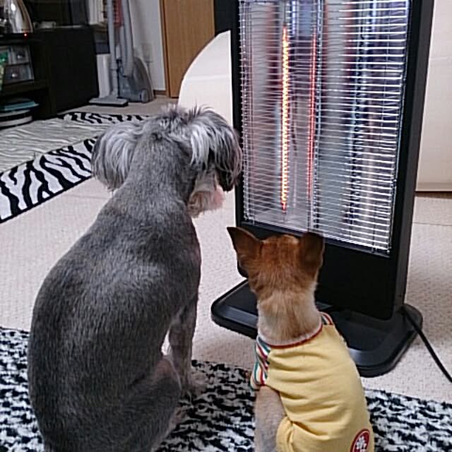 bounoさんの実例写真