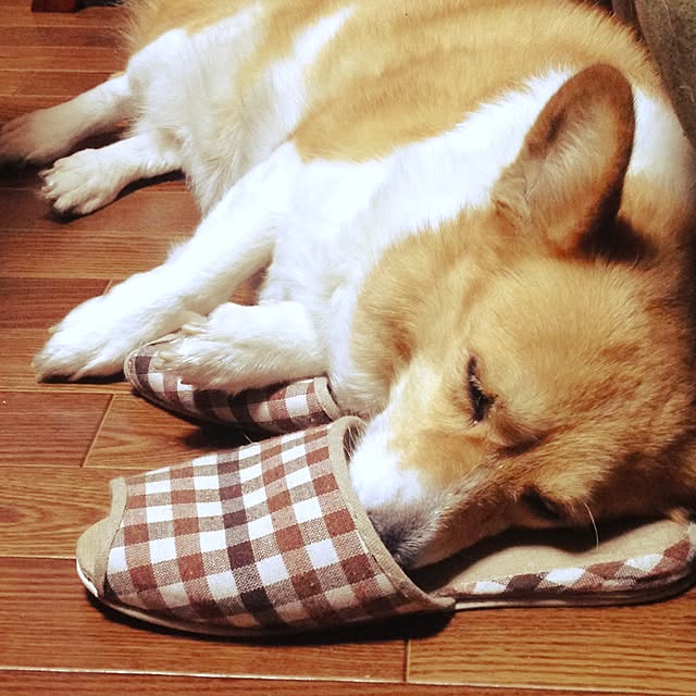dolceholicさんの実例写真