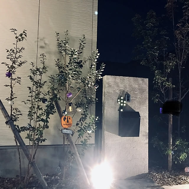 実例写真