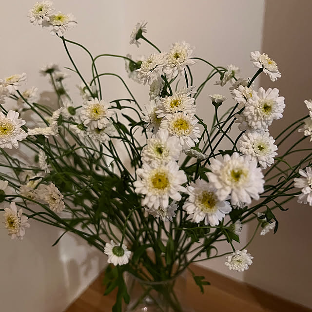 YUKINさんの部屋