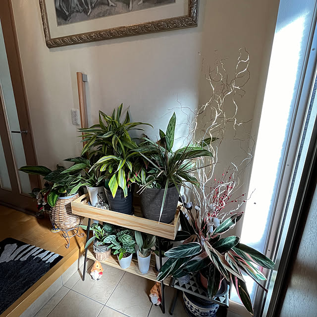yukarin-gardenさんの部屋