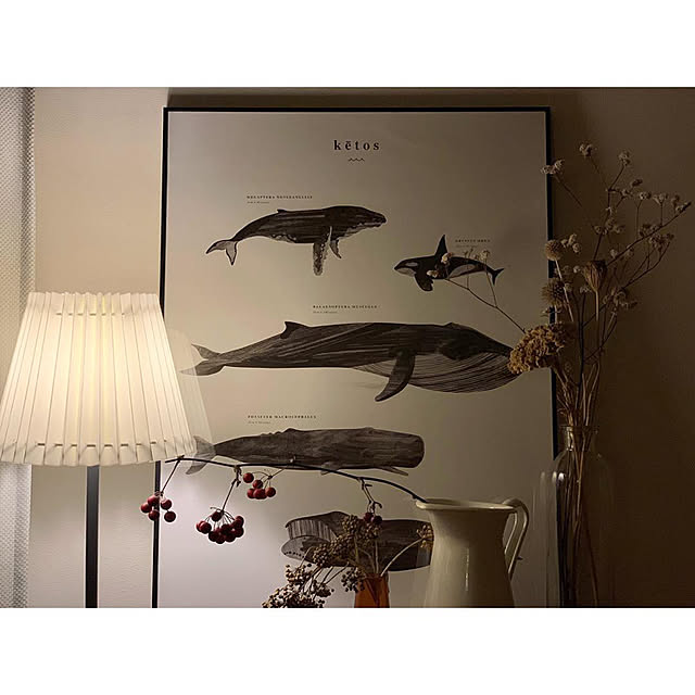棚/IKEA/ヴィンテージ/リノベーション/マイホーム...などのインテリア実例 - 2018-12-20 13:27:56