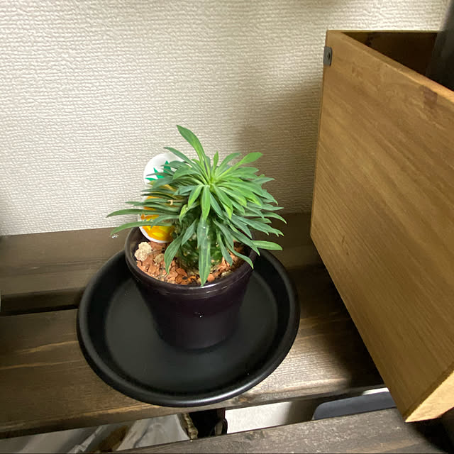 korokoroさんの実例写真