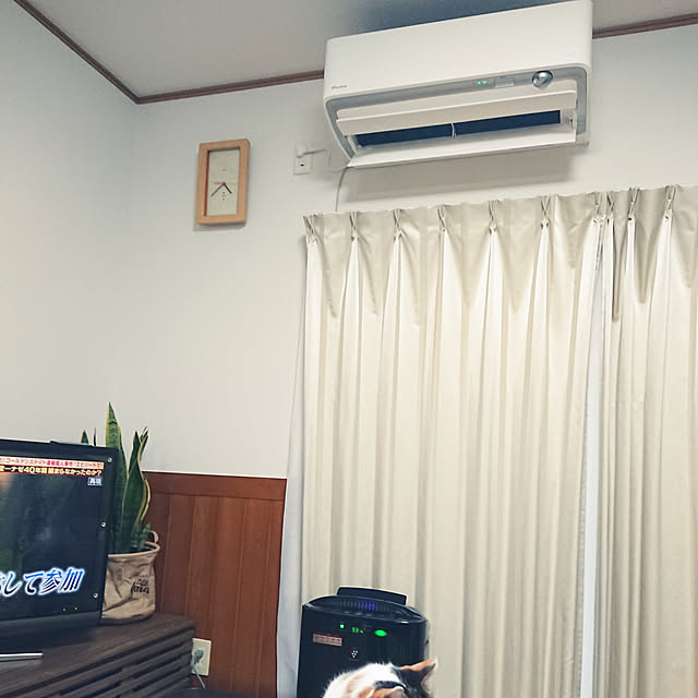 nachiさんの実例写真
