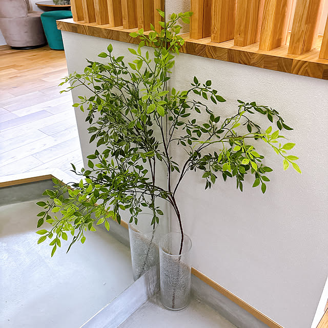 tomatoさんの部屋