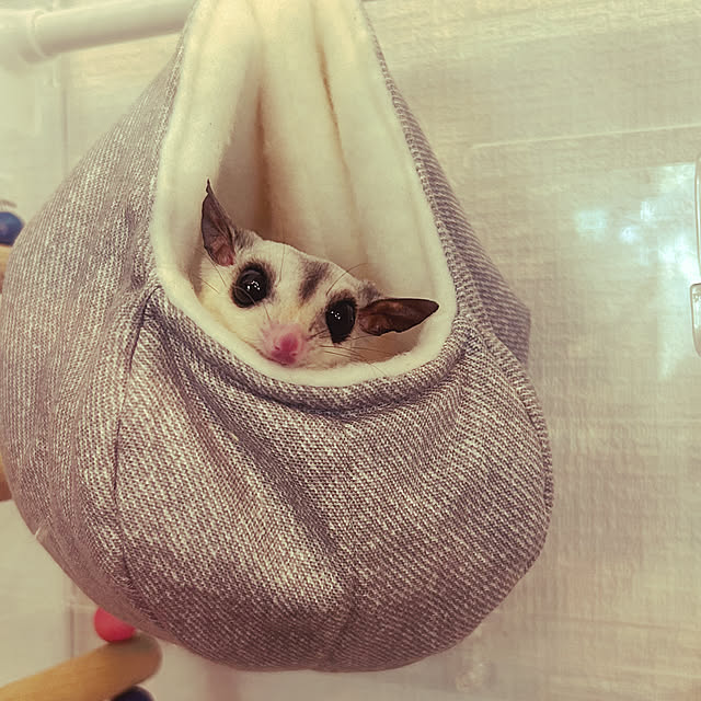 satatinさんの部屋