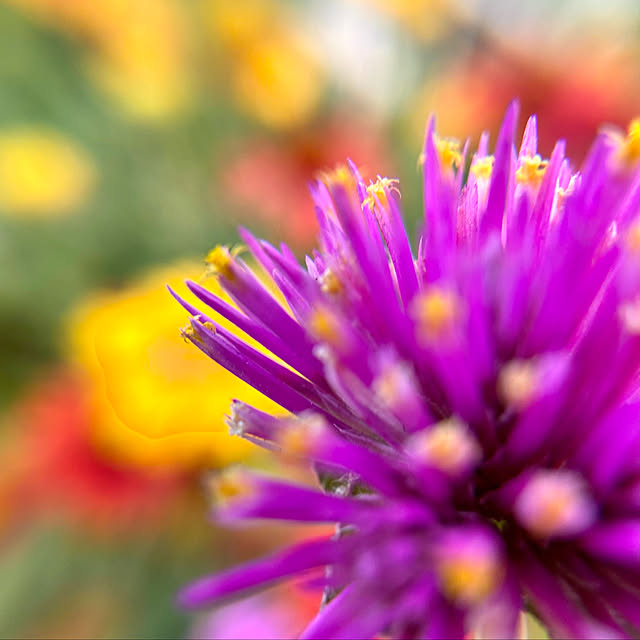glassflowerさんの実例写真