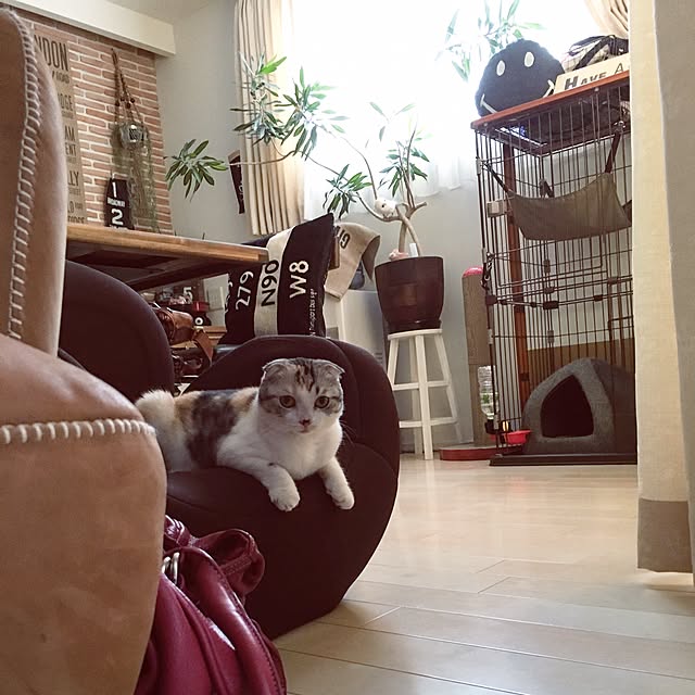 yokkochanさんの実例写真