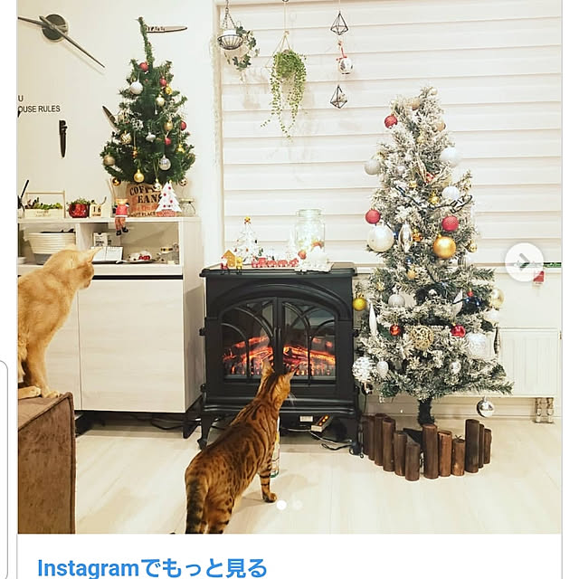 megu.catさんの実例写真