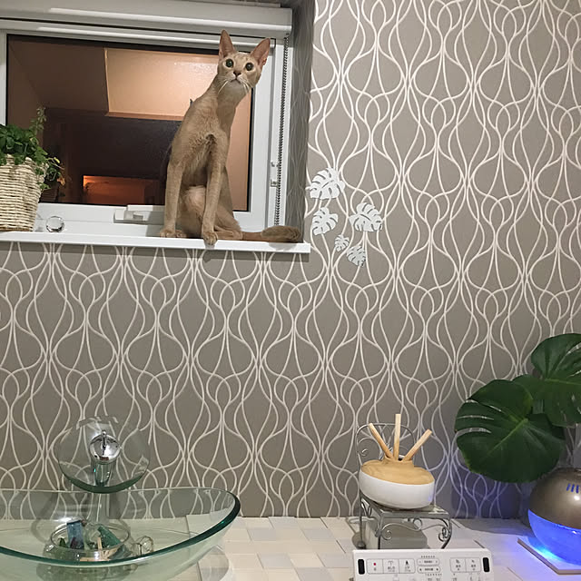 megu.catさんの実例写真
