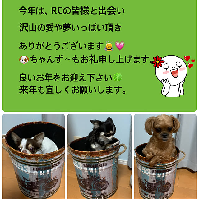 makoさんの実例写真
