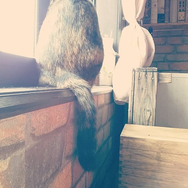 Ryoさんの実例写真