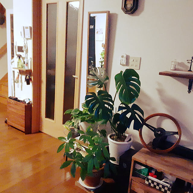 部屋全体のインテリア実例 - 2022-01-11 19:07:10