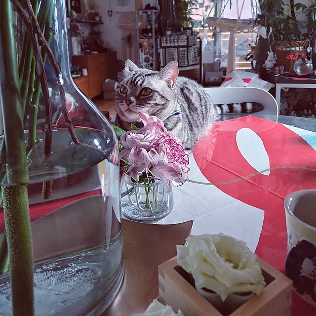 hiro3さんの部屋