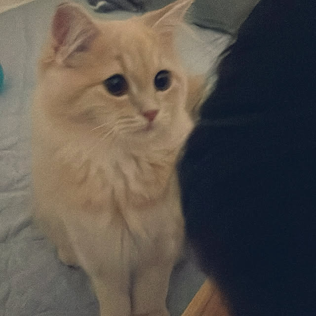 kさんの部屋