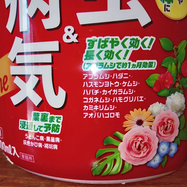 mocomocoさんの部屋