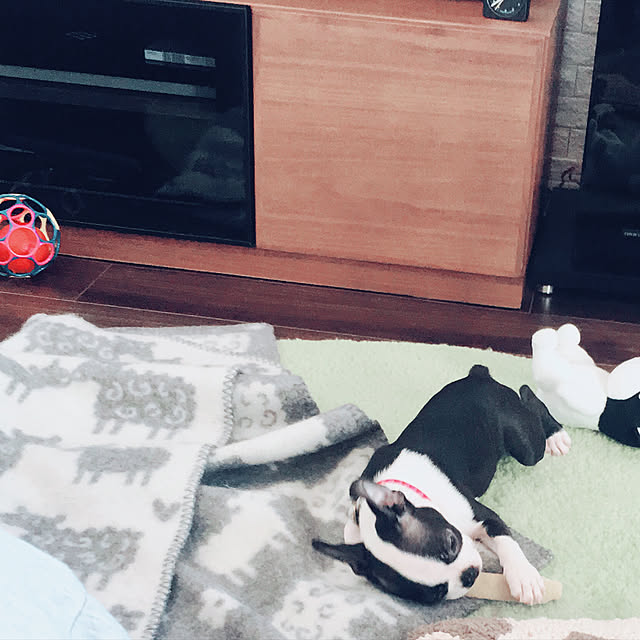 ogumanaさんの実例写真