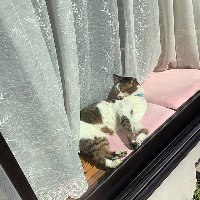 haruminさんの部屋