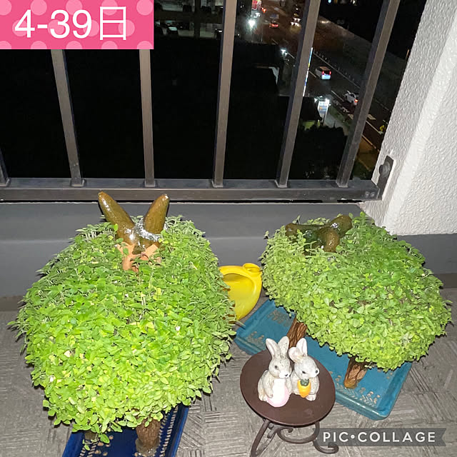 aureaさんの実例写真