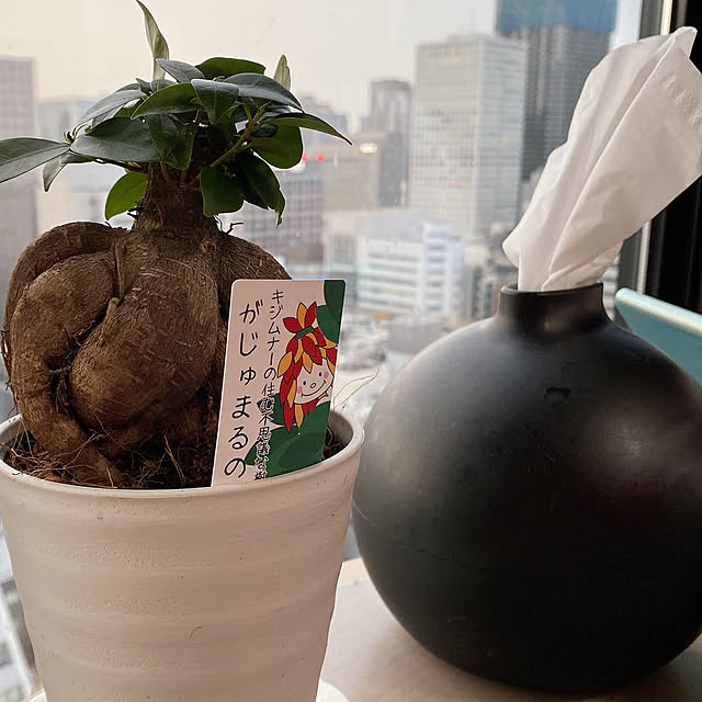 anさんの実例写真