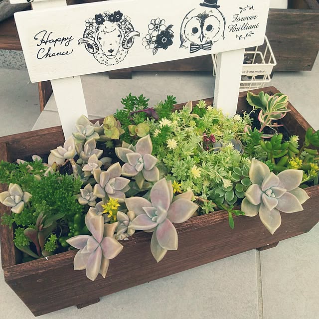 so-bokuさんの実例写真