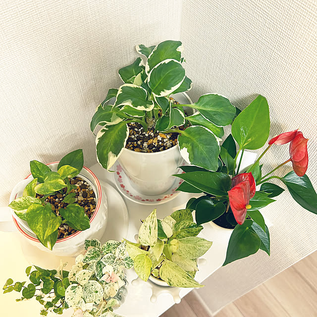 yoyoyoさんの部屋