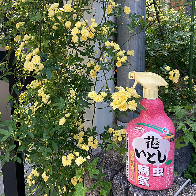 FUJICOさんの実例写真
