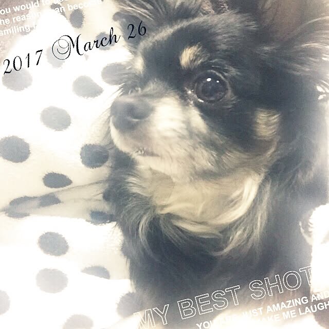 mockさんの実例写真