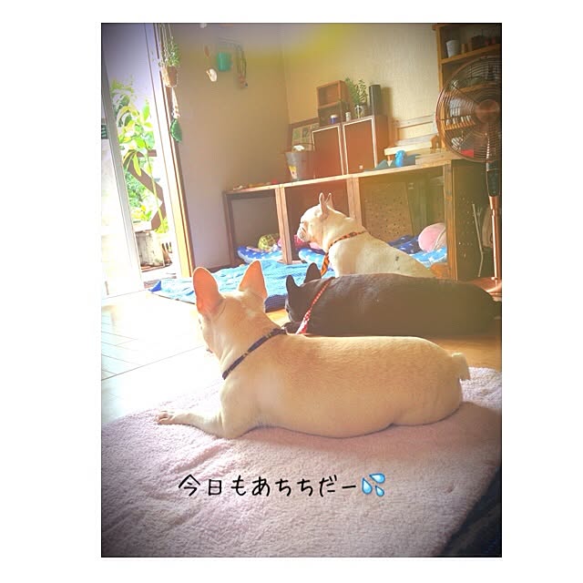 38coreさんの実例写真