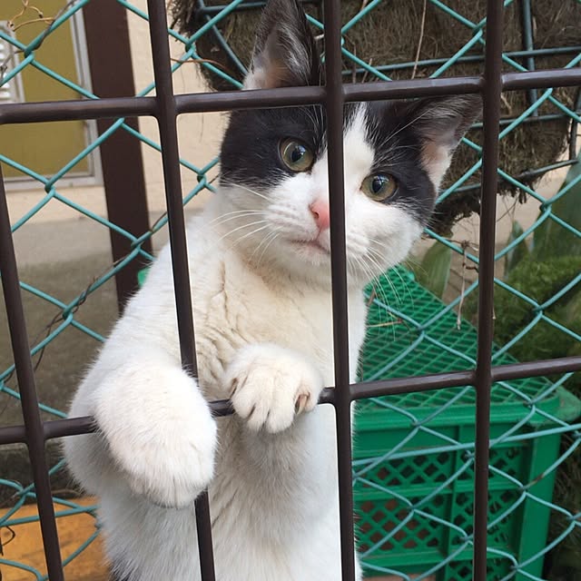 himawariさんの実例写真