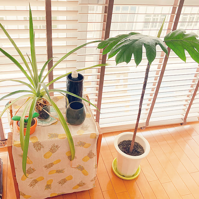 Linaさんの実例写真