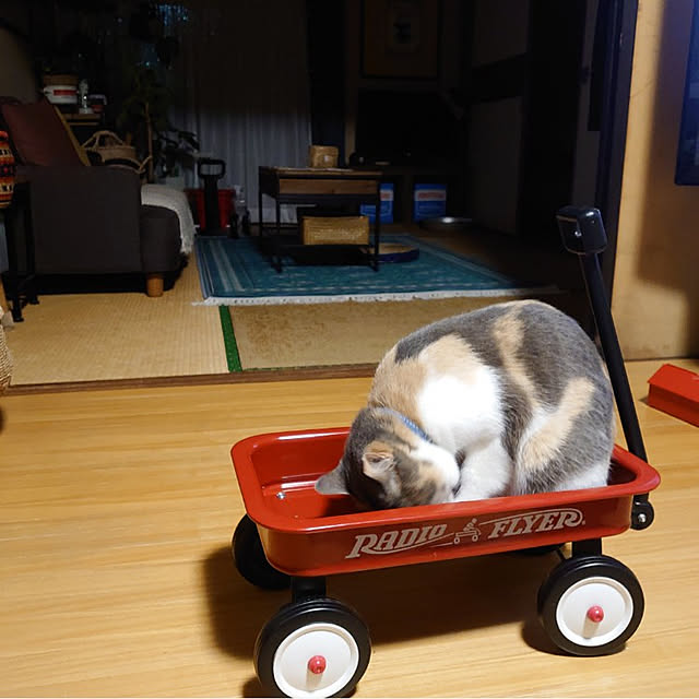 fukuさんの実例写真