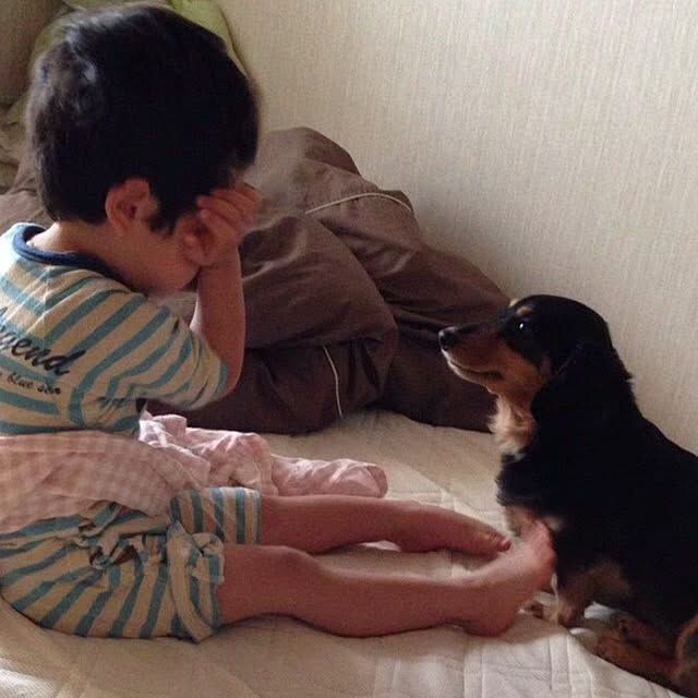 ohanaさんの実例写真