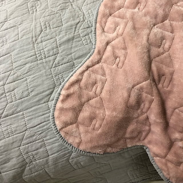 soraさんの実例写真