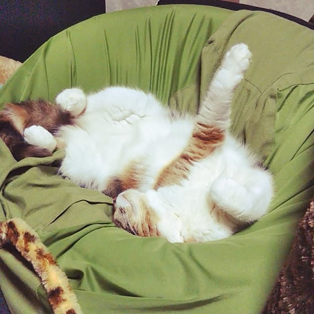 yukieさんの実例写真
