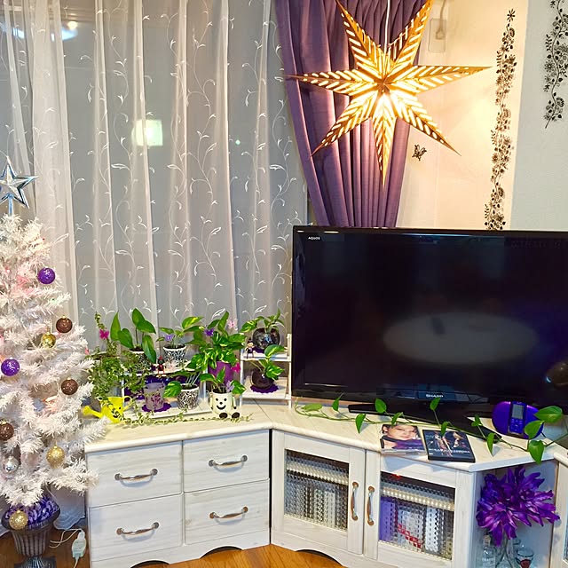 実例写真