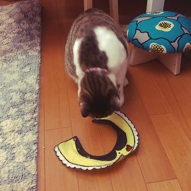 jijiさんの実例写真