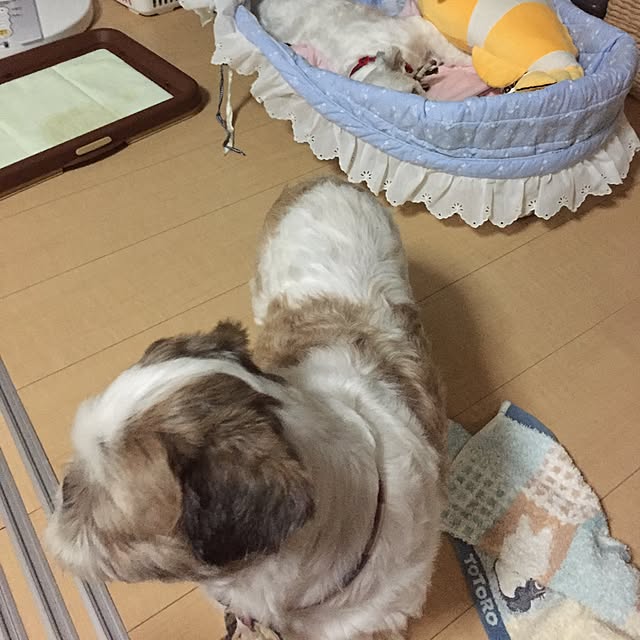 emiさんの実例写真