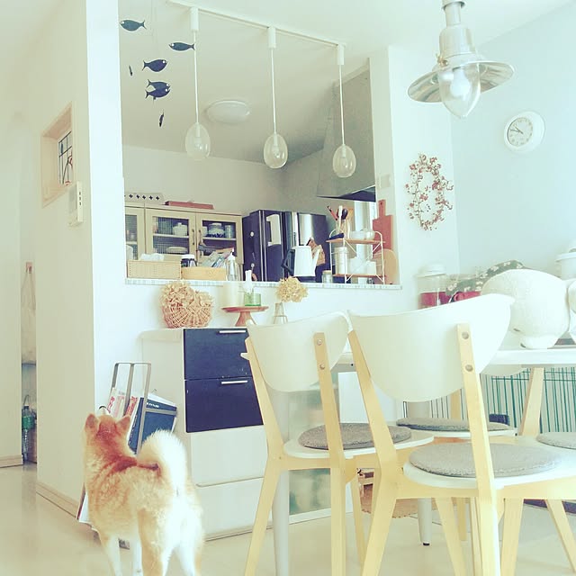 pitoさんの実例写真