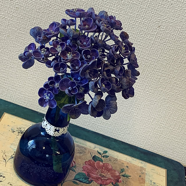 hinaさんの実例写真