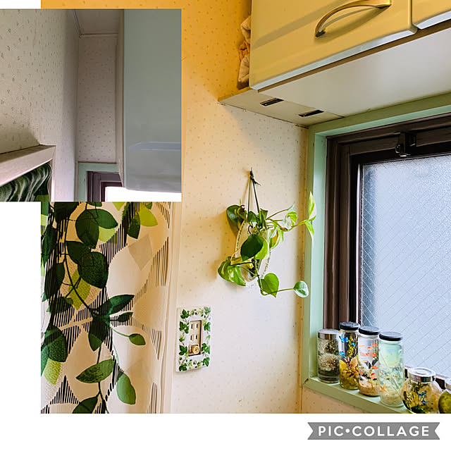 mizucchiさんの実例写真