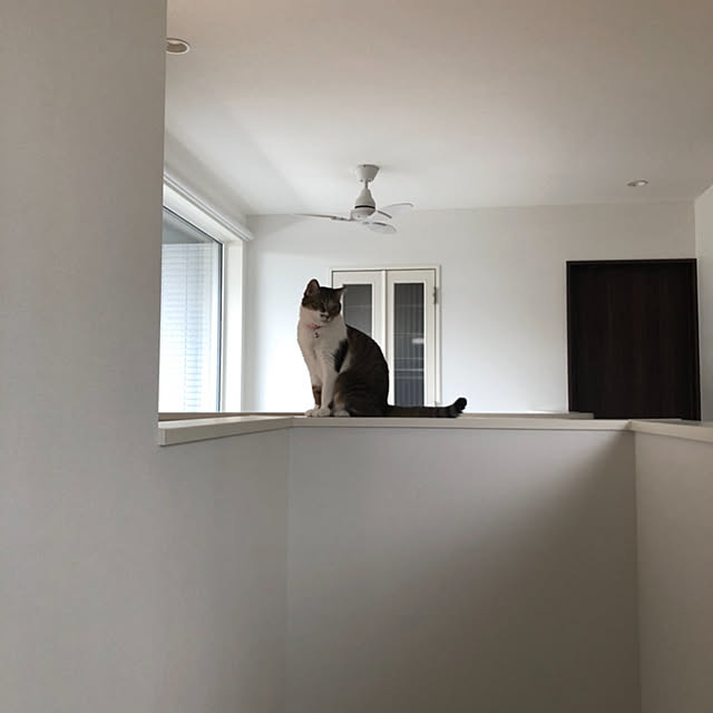 hiroさんの実例写真