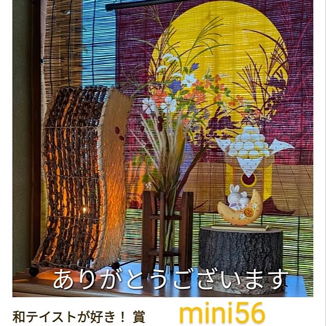 mini56さんの部屋