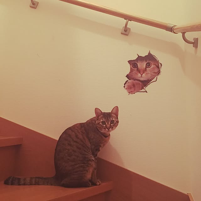 pinokoさんの実例写真