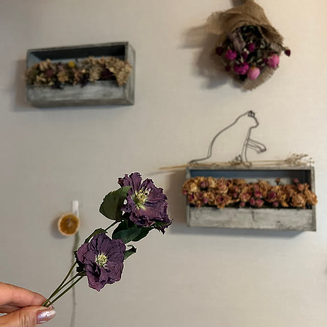 botanさんの実例写真